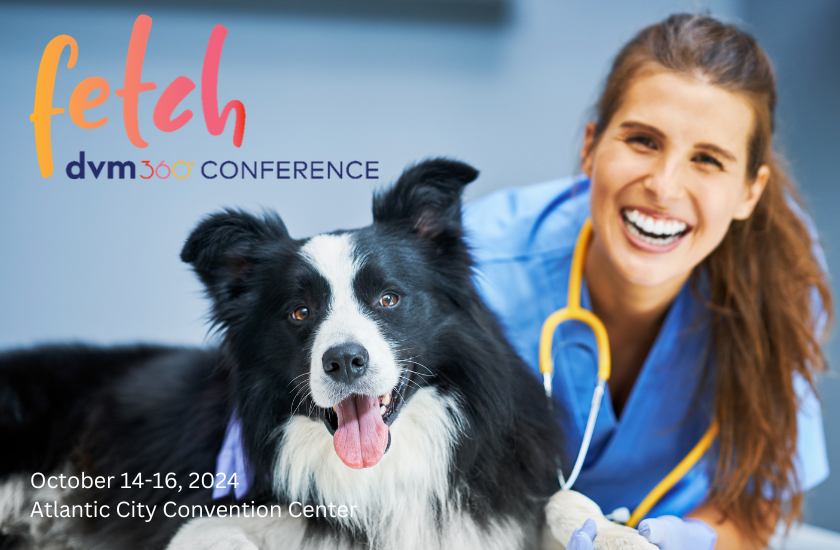 More Info for Fetch Coastal Veterinary Conference 2024